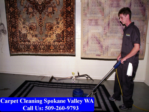 Carpet-Cleaning-Spokane-036.jpg