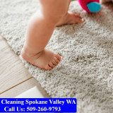 Carpet-Cleaning-Spokane-038