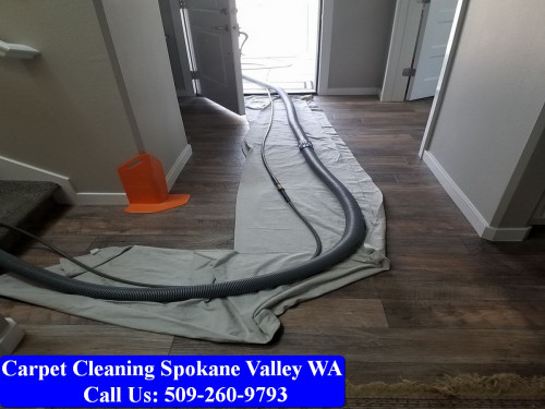 Carpet-Cleaning-Spokane-042.jpg