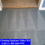 Carpet-Cleaning-Spokane-049