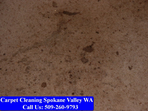 Carpet-Cleaning-Spokane-065.jpg