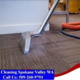 Carpet-Cleaning-Spokane-069