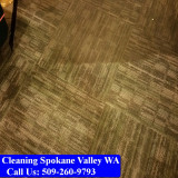 Carpet-Cleaning-Spokane-074