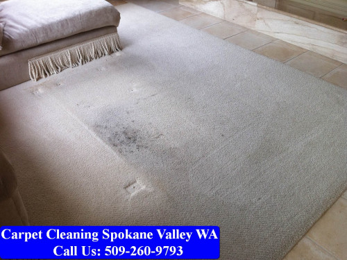 Carpet-Cleaning-Spokane-079.jpg