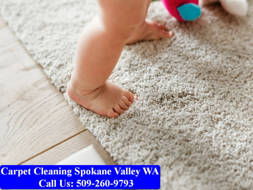 Carpet-Cleaning-Spokane-082.jpg