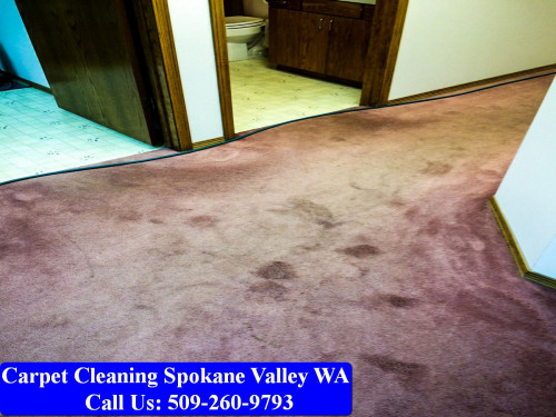 Carpet-Cleaning-Spokane-083.jpg