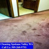 Carpet-Cleaning-Spokane-083