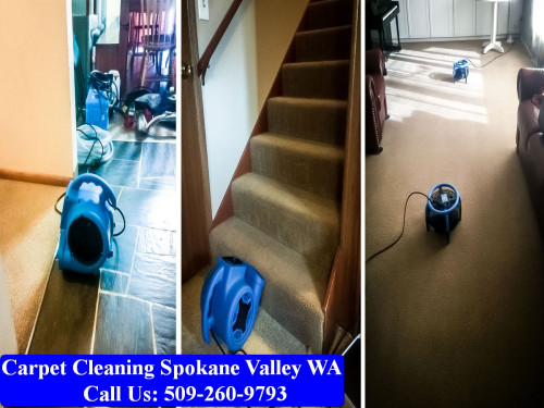 Carpet-Cleaning-Spokane-087.jpg