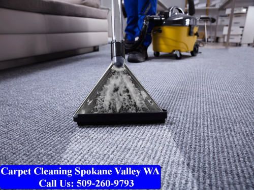 Carpet-Cleaning-Spokane-090.jpg