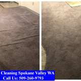 Carpet-Cleaning-Spokane-101