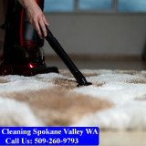 Carpet-Cleaning-Spokane-Valley-004
