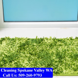 Carpet-Cleaning-Spokane-Valley-007
