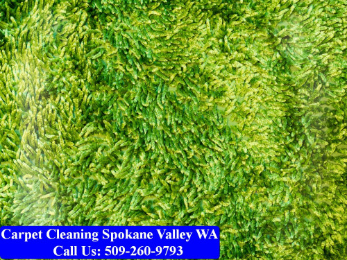 Carpet-Cleaning-Spokane-Valley-008.jpg