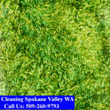 Carpet-Cleaning-Spokane-Valley-008