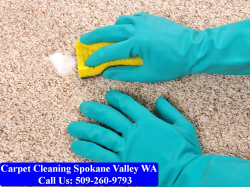Carpet-Cleaning-Spokane-Valley-011.jpg