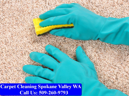 Carpet Gurus - Spokane Carpet Cleaning, 15825 E Trent Ave Suite A Spokane Valley, WA 99216,(509) 260