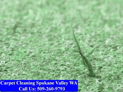 Carpet-Cleaning-Spokane-Valley-013.jpg