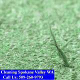 Carpet-Cleaning-Spokane-Valley-013
