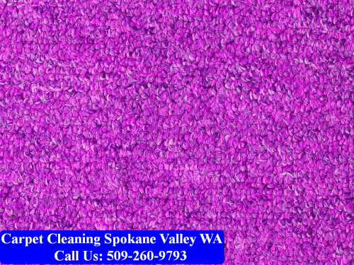 Carpet-Cleaning-Spokane-Valley-014.jpg
