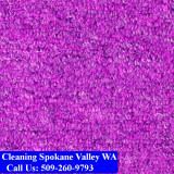 Carpet-Cleaning-Spokane-Valley-014