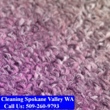 Carpet-Cleaning-Spokane-Valley-015