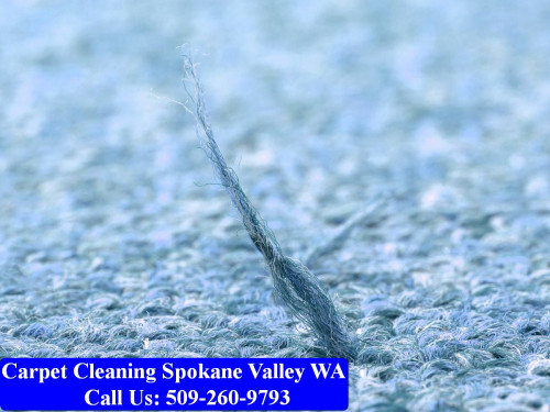 Carpet-Cleaning-Spokane-Valley-016.jpg