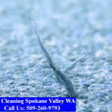 Carpet-Cleaning-Spokane-Valley-016