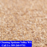 Carpet-Cleaning-Spokane-Valley-018