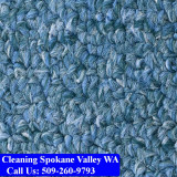 Carpet-Cleaning-Spokane-Valley-019