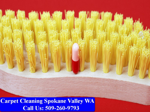 Carpet-Cleaning-Spokane-Valley-023.jpg
