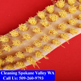 Carpet-Cleaning-Spokane-Valley-030