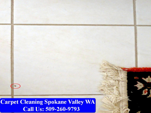 Carpet-Cleaning-Spokane-Valley-071.jpg
