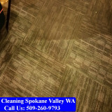 Carpet-Cleaning-Spokane-Valley-084
