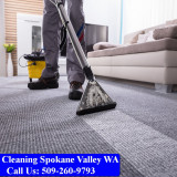Carpet-Cleaning-Spokane-Valley-088