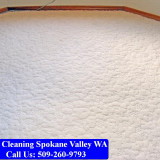 Carpet-Cleaning-Spokane-Valley-099