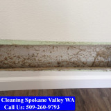 Carpet-Cleaning-Spokane-Valley-102