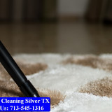 Carpet-cleaning-Silver-001