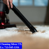 Carpet-cleaning-Silver-002