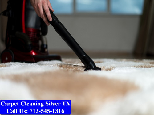 Carpet-cleaning-Silver-003.jpg