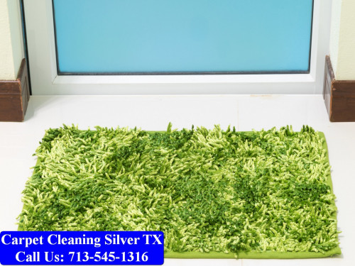 Carpet-cleaning-Silver-007.jpg
