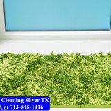 Carpet-cleaning-Silver-007