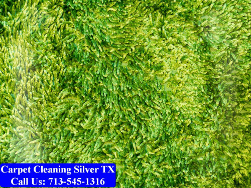 Carpet-cleaning-Silver-008.jpg