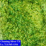 Carpet-cleaning-Silver-008