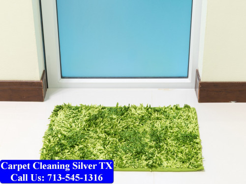 Carpet-cleaning-Silver-009.jpg