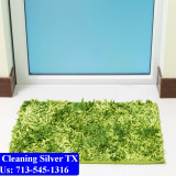 Carpet-cleaning-Silver-009