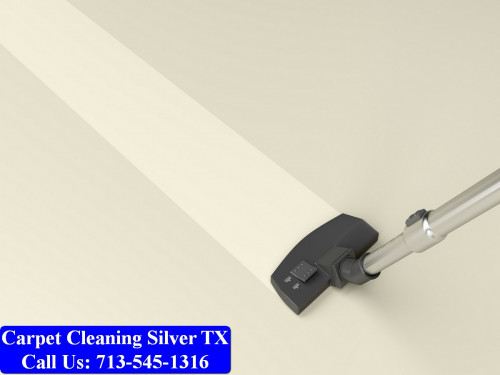 Carpet-cleaning-Silver-010.jpg