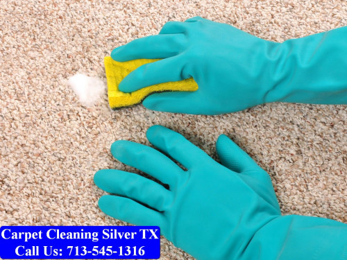 Carpet-cleaning-Silver-011.jpg