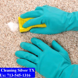 Carpet-cleaning-Silver-011