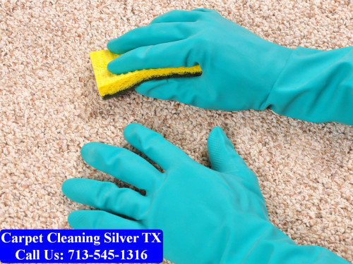 Carpet-cleaning-Silver-012.jpg