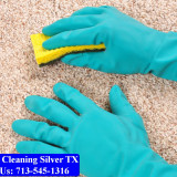 Carpet-cleaning-Silver-012